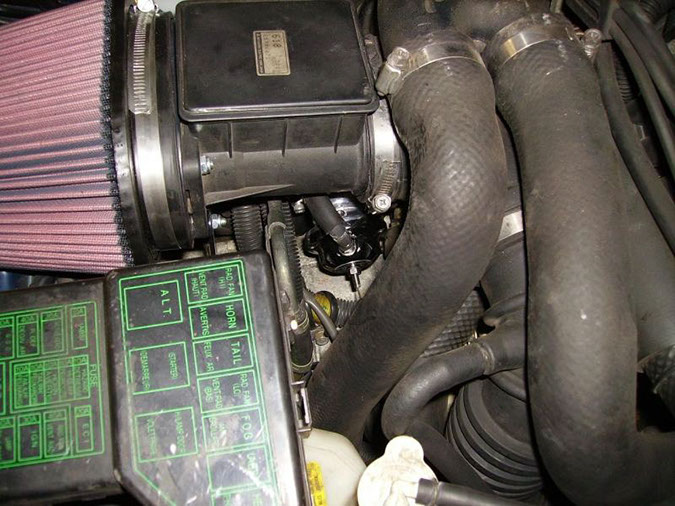 image_andi_bov_greddy_1