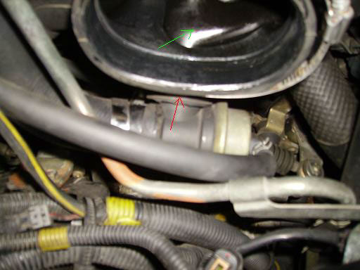 image_andi_bov_greddy_4