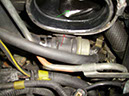 image_andi_bov_greddy_4