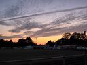 IMG_20250619_220341.jpg