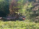 20250501_140928.jpg